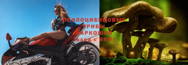 ALPHA-PVP Алексеевка