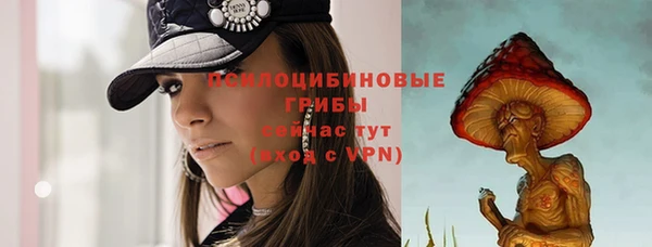spice Алзамай