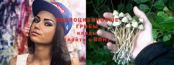 спиды Алексин