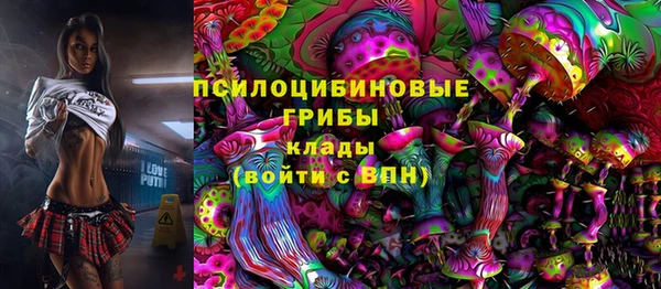 спиды Алексин