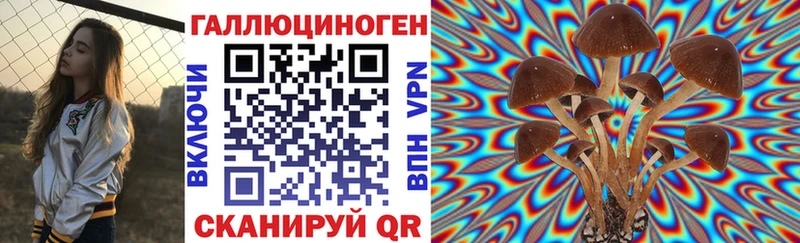 Псилоцибиновые грибы мицелий  где найти   Геленджик 